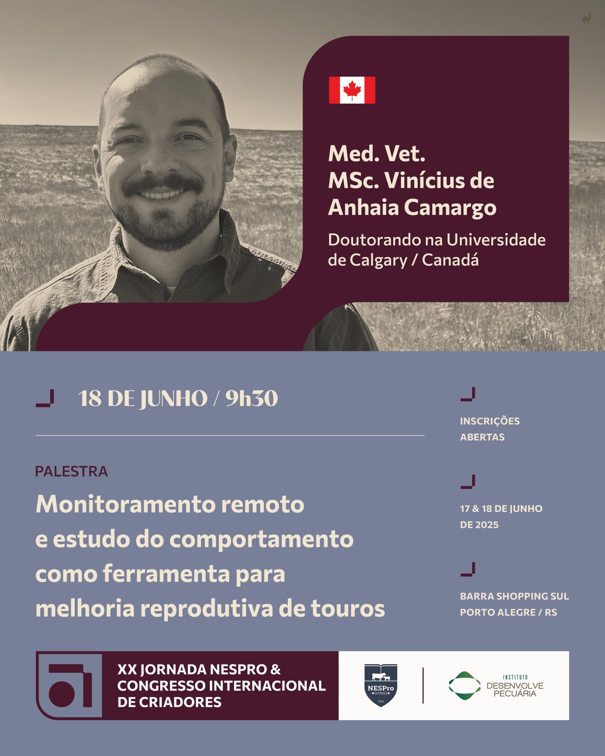 galeria-10
